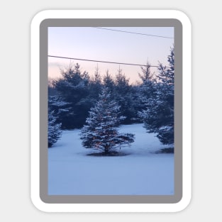 Christmas tree in the snow Sticker